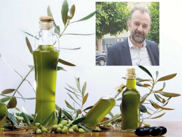 ΓΡ. ΘΕΟΔΩΡΑΚΗΣ: Να στηριχθούν οι παραγωγοί της πράσινης επιτραπέζιας ελιάς Αγρινίου