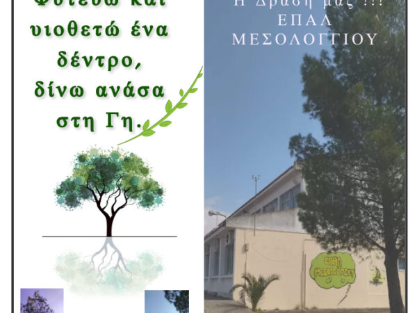 Περιβαλλοντική δράση του ΕΠΑΛ Μεσολογγίου “Φυτεύω και υιοθετώ ένα δέντρο, δίνω ανάσα στη Γη.”